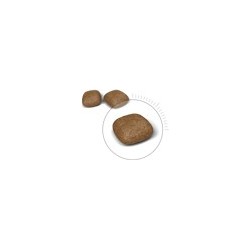 Royal Canin Urinary Care