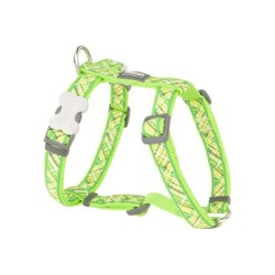 Red Dingo Harnais pour Chien