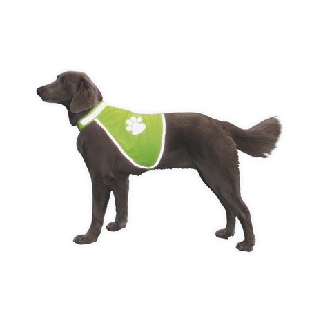 Gilet jaune pour chien