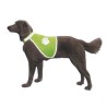 Gilet jaune pour chien