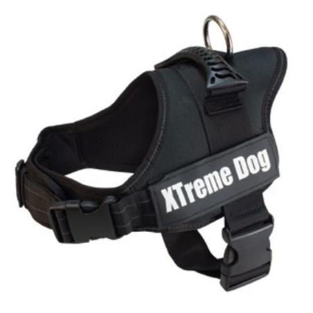 Harnais XTREME Dog
