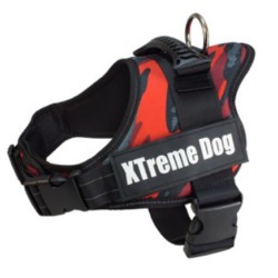 Harnais XTREME Dog