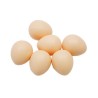 Oeuf factice