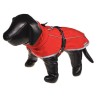 Manteau Buzo