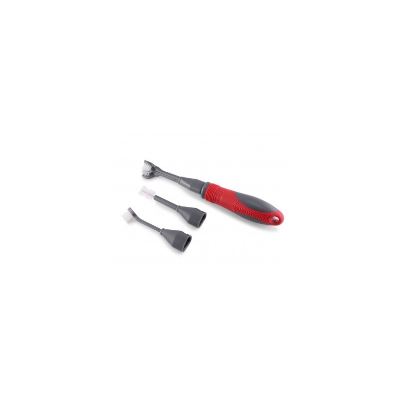 Brosse à dents