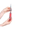 Brosse à dents