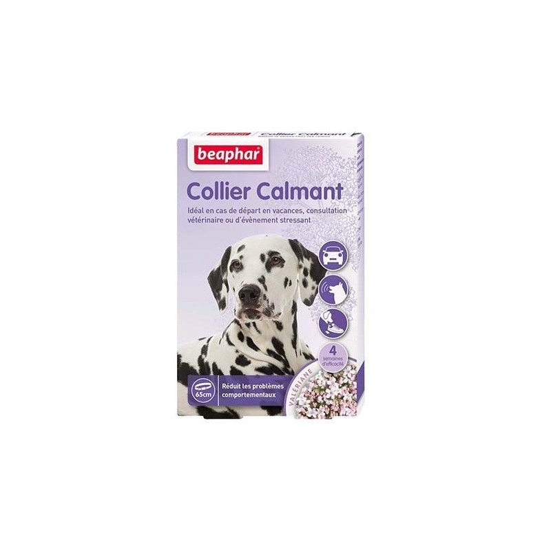Collier calmant pour chien