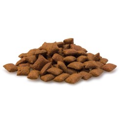 Friandises malt pour chats