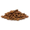 Friandises malt pour chats