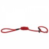 Laisse lasso corde basic