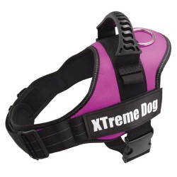 Harnais XTREME Dog