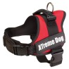 Harnais XTREME Dog