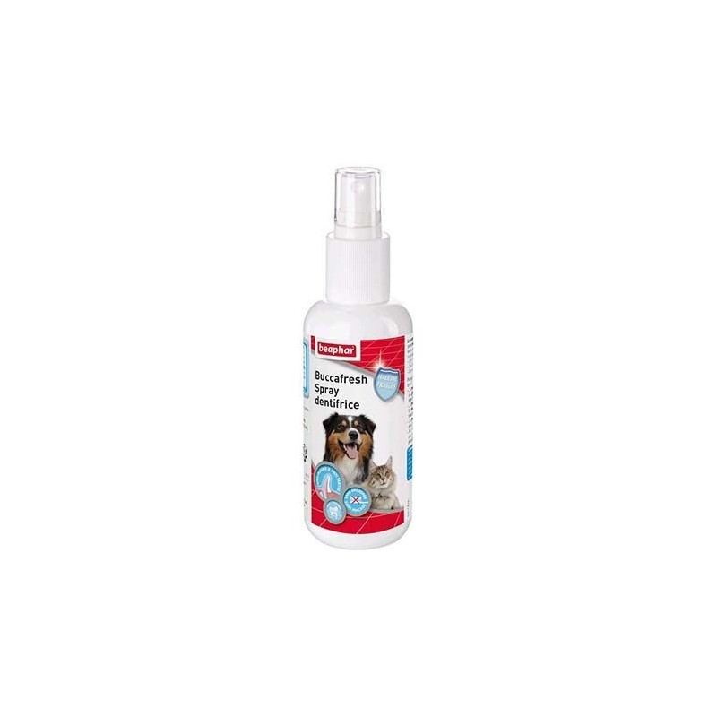 Buccafresh spray dentifrice