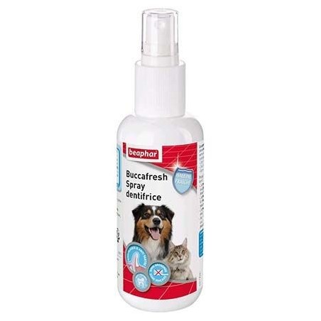 Buccafresh spray dentifrice