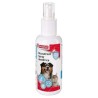 Buccafresh spray dentifrice