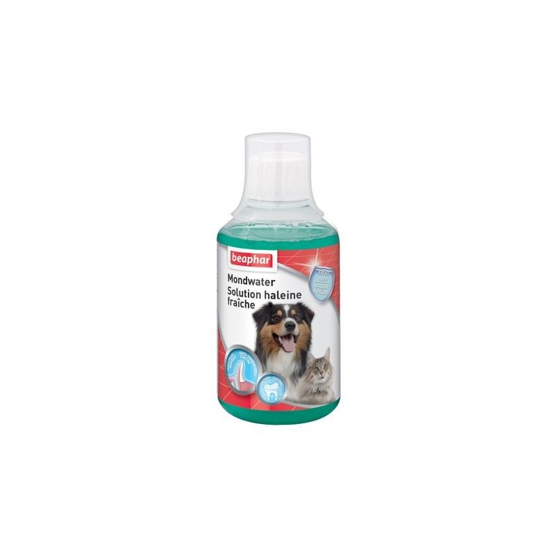 Solution haleine fraîche pour chien et chat