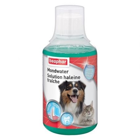 Solution haleine fraîche pour chien et chat