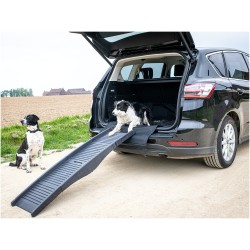 Rampe pliable pour chien