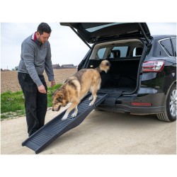 Rampe pliable pour chien
