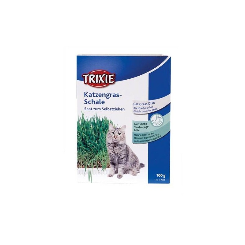 Graine pour herbe à chat