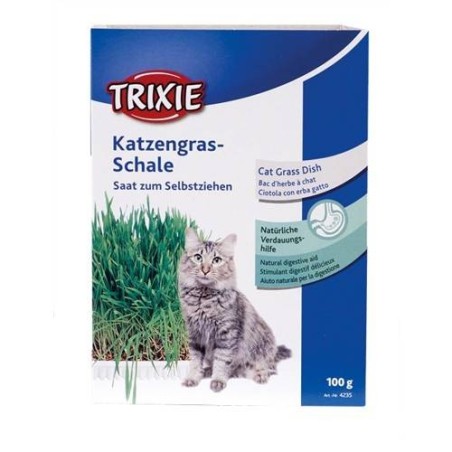 Graine pour herbe à chat