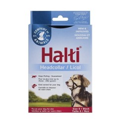 Harnais frontal Halti