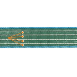 Ruban renforcé 40 mm vert Lacmé