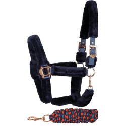 Licol et longe Faux