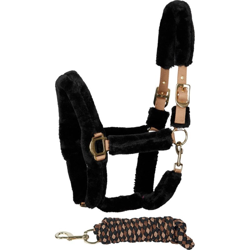 Licol et longe Faux