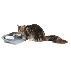 Plateau repas Buttler