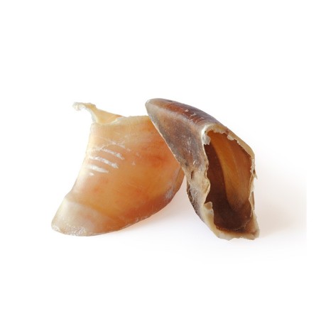 Sabot de veau