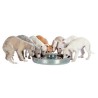 Gamelle pour chiots