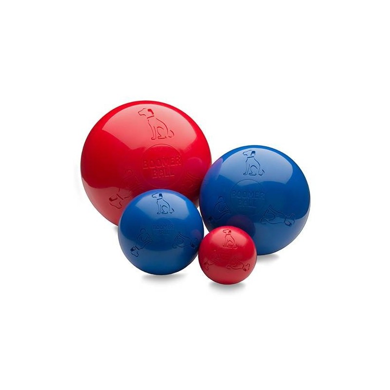 Dog toy Boomer Ball