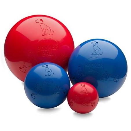 Dog toy Boomer Ball