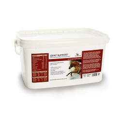 Joint Support Red Horse