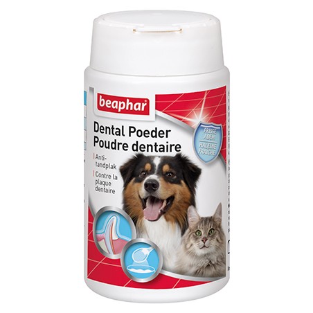 Poudre dentaire pour chien et chat