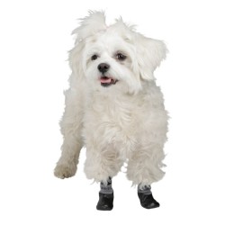 Chaussettes pour chien Susi