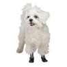 Chaussettes pour chien Susi