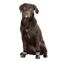 Chaussettes pour chien Susi