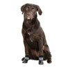 Chaussettes pour chien Susi