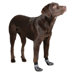 Chaussettes pour chien Susi