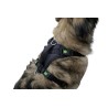 Harnais Pulsive pour chien