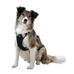 Harnais Pulsive pour chien