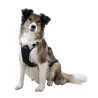 Harnais Pulsive pour chien