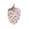 Pomme de pin, cône de graisse géant 330g pour oiseaux