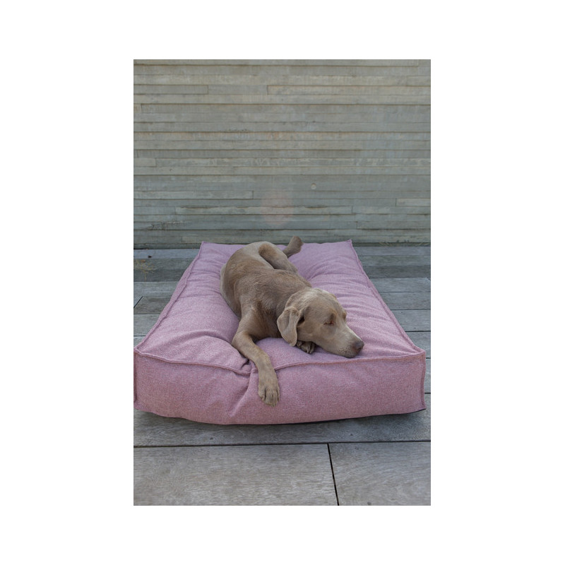 Matelas Stargaze Fantail pour chien