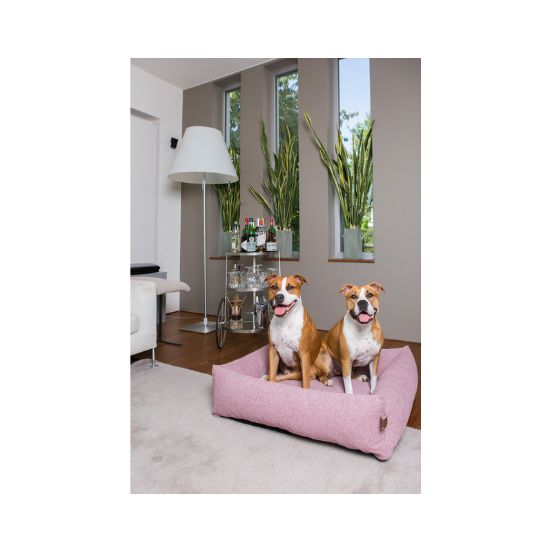 Snug, le corbeille fermée pour chien de chez Fantail