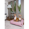 Snug, le corbeille fermée pour chien de chez Fantail