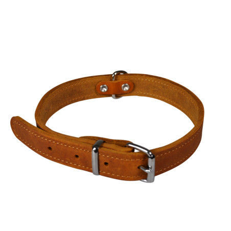 Collier en cuir huilé pour chien