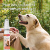 Spray pour les coussinets